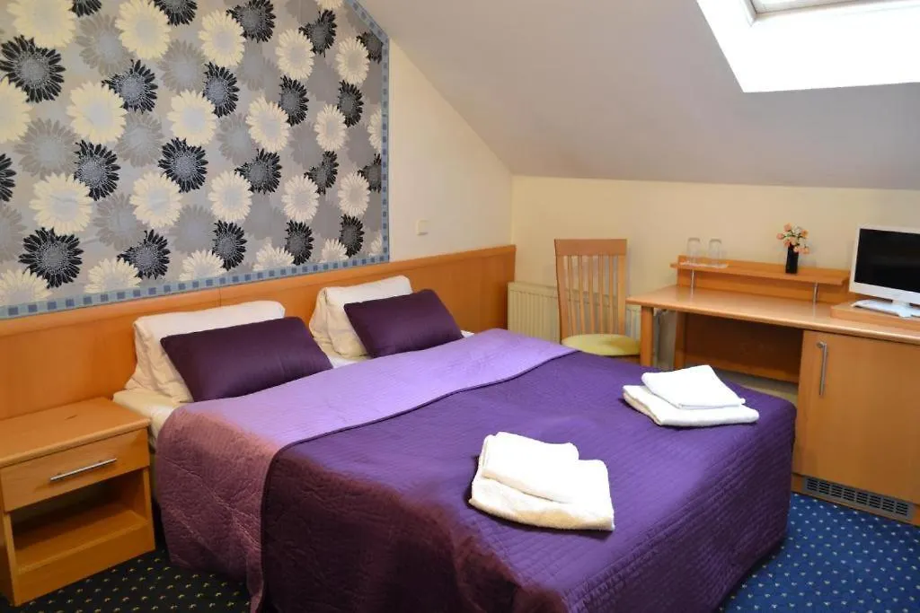 Homestay Hodinovy Hotel - Azil Pro Milinske Pary Prague
